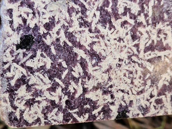 Polished Lepidolite  LEP228
