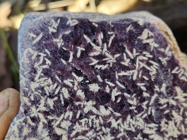 Polished Lepidolite  LEP228