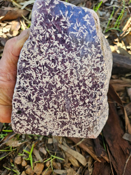 Polished Lepidolite  LEP228