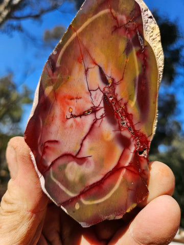 Polished  Mookaite slab MK558