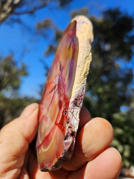 Polished  Mookaite slab MK558