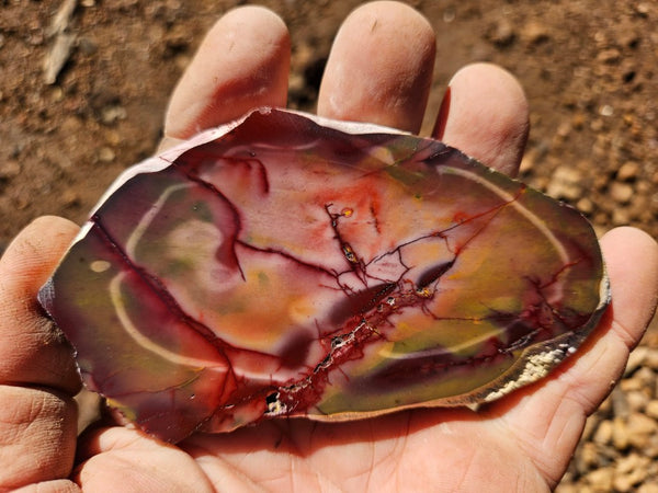 Polished  Mookaite slab MK558
