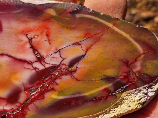 Polished  Mookaite slab MK558