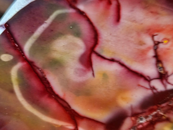 Polished  Mookaite slab MK558