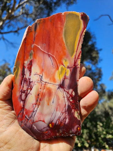 Polished  Mookaite slab MK559