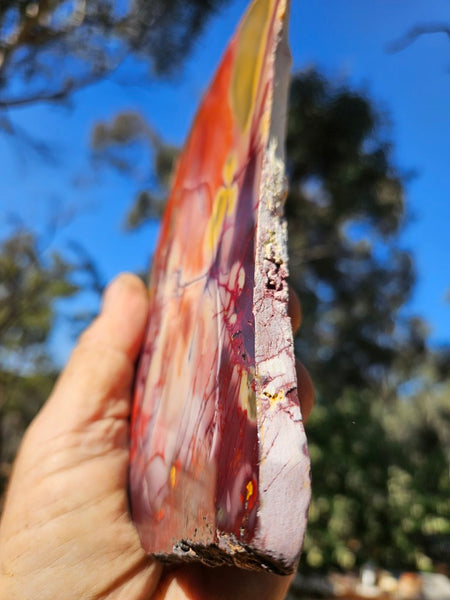 Polished  Mookaite slab MK559
