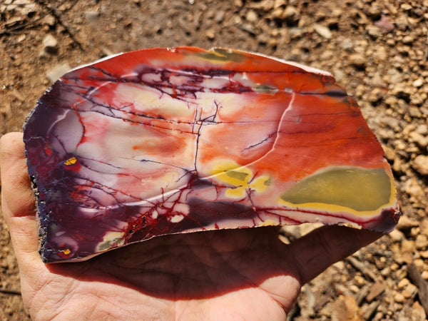 Polished  Mookaite slab MK559