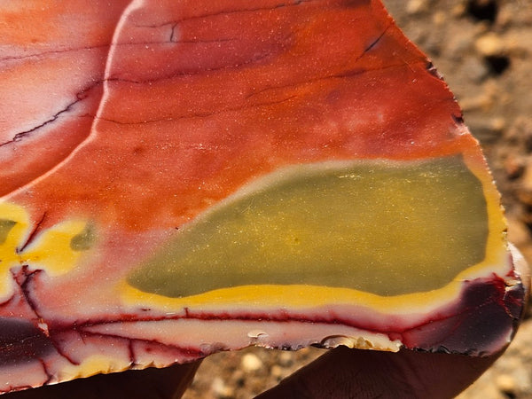Polished  Mookaite slab MK559