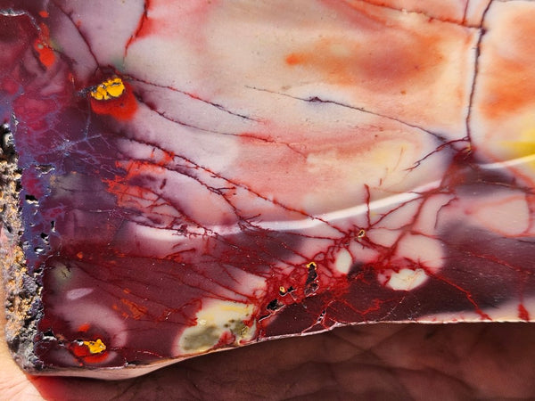 Polished  Mookaite slab MK559