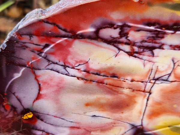 Polished  Mookaite slab MK559