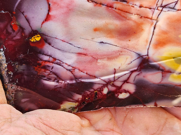 Polished  Mookaite slab MK559