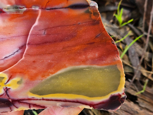 Polished  Mookaite slab MK559