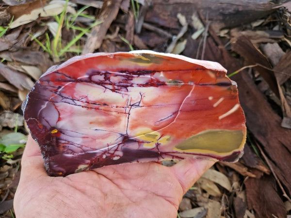 Polished  Mookaite slab MK559