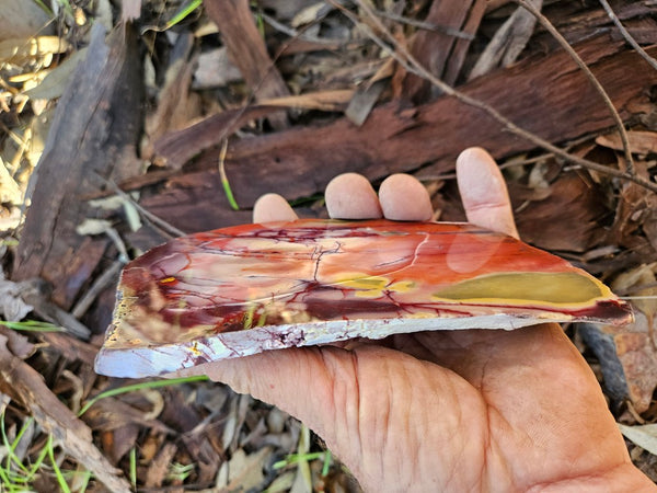 Polished  Mookaite slab MK559