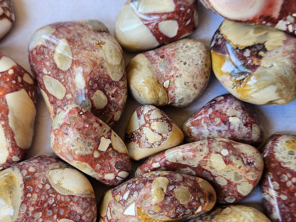 Tumble Polished Brecciated Mookaite BMT112