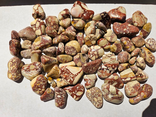 Tumble Polished Brecciated Mookaite BMT112