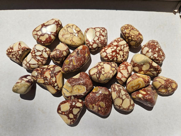 Tumble Polished Brecciated Mookaite BMT111