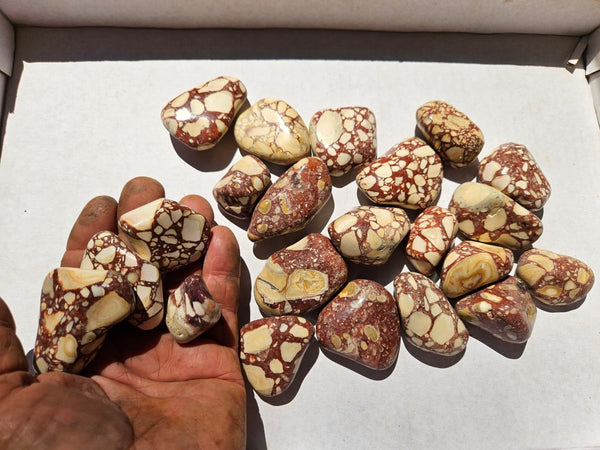 Tumble Polished Brecciated Mookaite BMT111