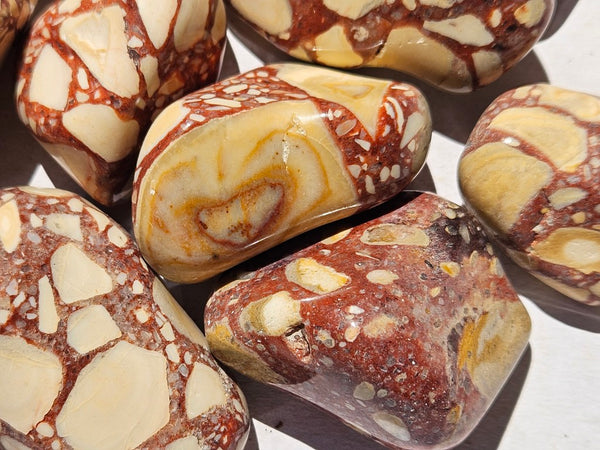 Tumble Polished Brecciated Mookaite BMT111