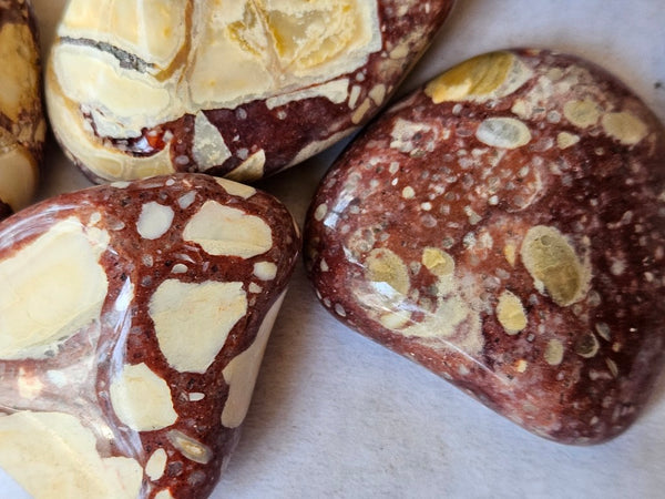 Tumble Polished Brecciated Mookaite BMT111