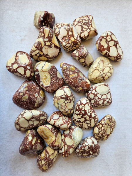 Tumble Polished Brecciated Mookaite BMT111