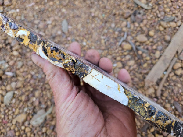 Polished Peanut Wood slab PW354