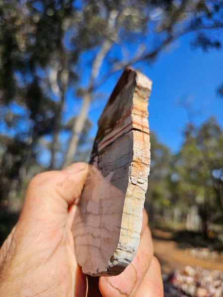 Sunset Jasper polished slab SU193