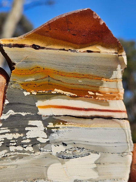 Sunset Jasper polished slab SU193