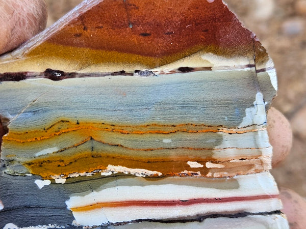 Sunset Jasper polished slab SU193