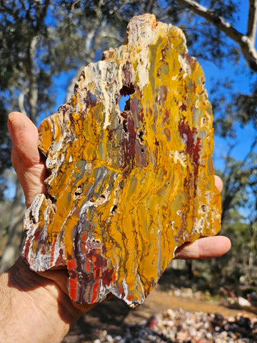 Sunset Jasper polished slab SU192