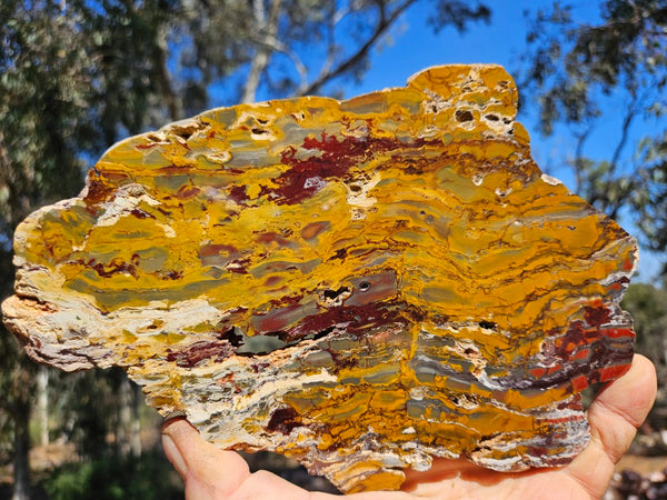 Sunset Jasper polished slab SU192
