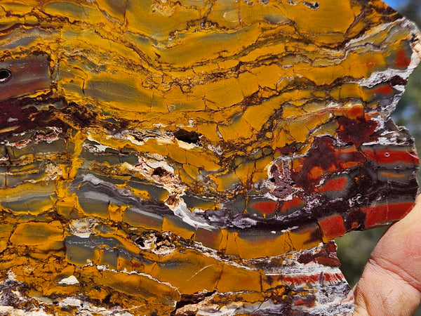 Sunset Jasper polished slab SU192