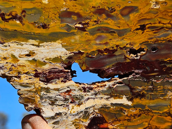Sunset Jasper polished slab SU192