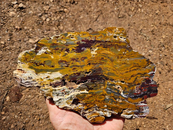 Sunset Jasper polished slab SU192