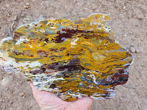 Sunset Jasper polished slab SU192