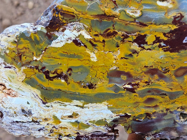 Sunset Jasper polished slab SU192