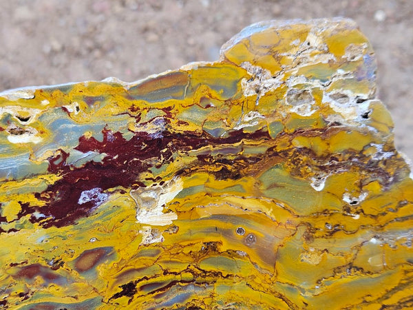 Sunset Jasper polished slab SU192