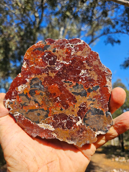 Polished De Grussa copper ore slab CO109