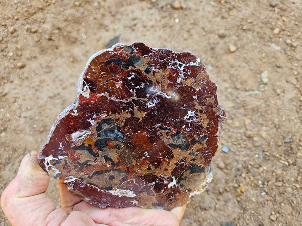 Polished De Grussa copper ore slab CO109