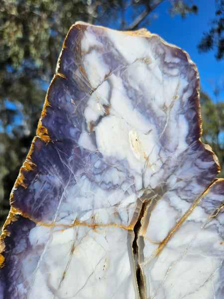 Purple Chalcedony  PU160