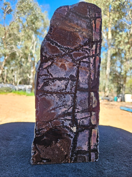 Polished Outback Jasper  OJ201