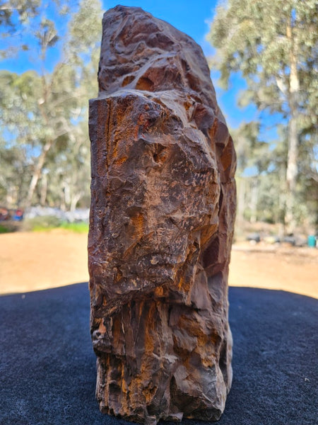 Polished Outback Jasper  OJ201