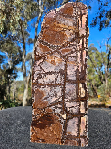 Polished Outback Jasper  OJ201
