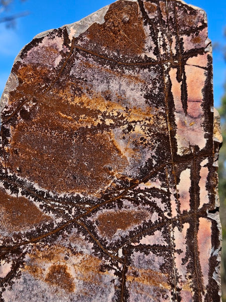 Polished Outback Jasper  OJ201