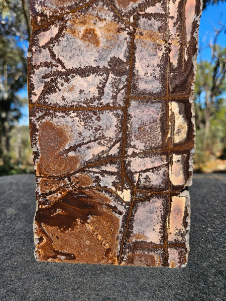 Polished Outback Jasper  OJ201