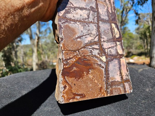 Polished Outback Jasper  OJ201