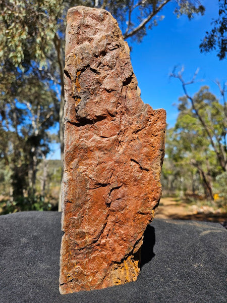 Polished Outback Jasper  OJ201