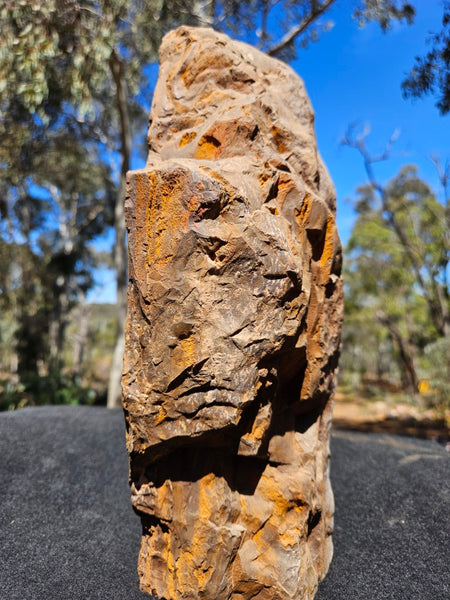 Polished Outback Jasper  OJ201