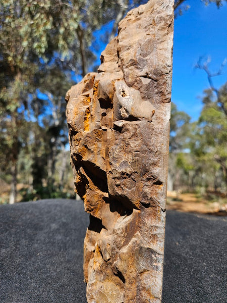 Polished Outback Jasper  OJ201