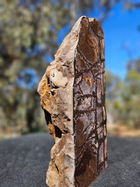 Polished Outback Jasper  OJ201